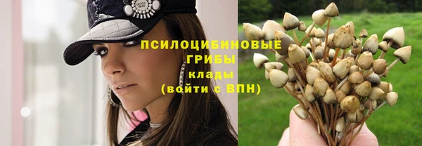 MESCALINE Чердынь