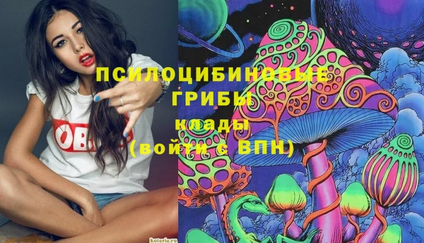 прущая мука Михайлов
