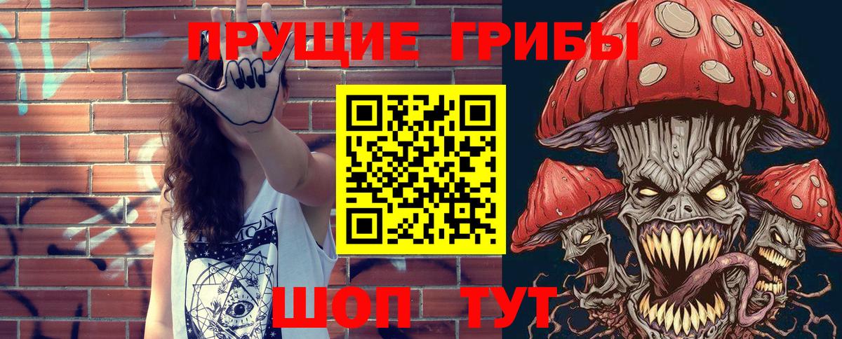 Псилоцибиновые грибы Psilocybe  Псилоцибиновые грибы прущие грибы  Ахтубинск 