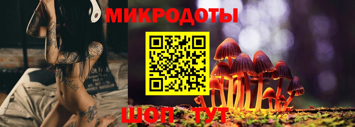 Псилоцибиновые грибы Psilocybe Ахтубинск